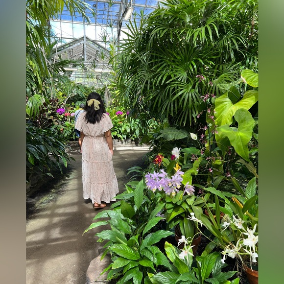 Meet your Posher, Fuji - Picture 1 of 1